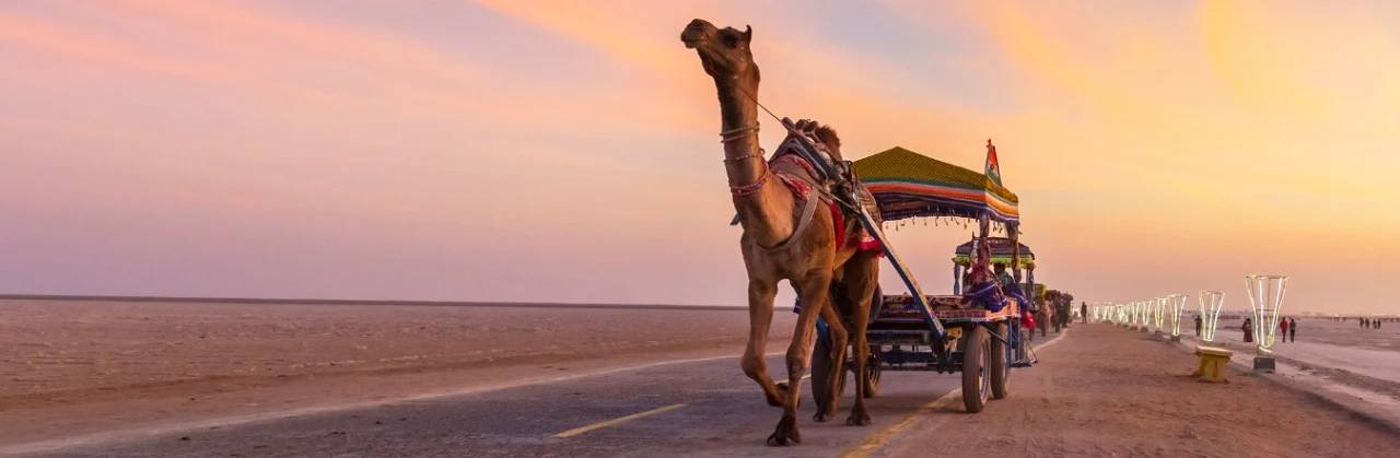 Gujarat-tour-package