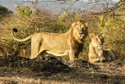 Gujarat-travel-package